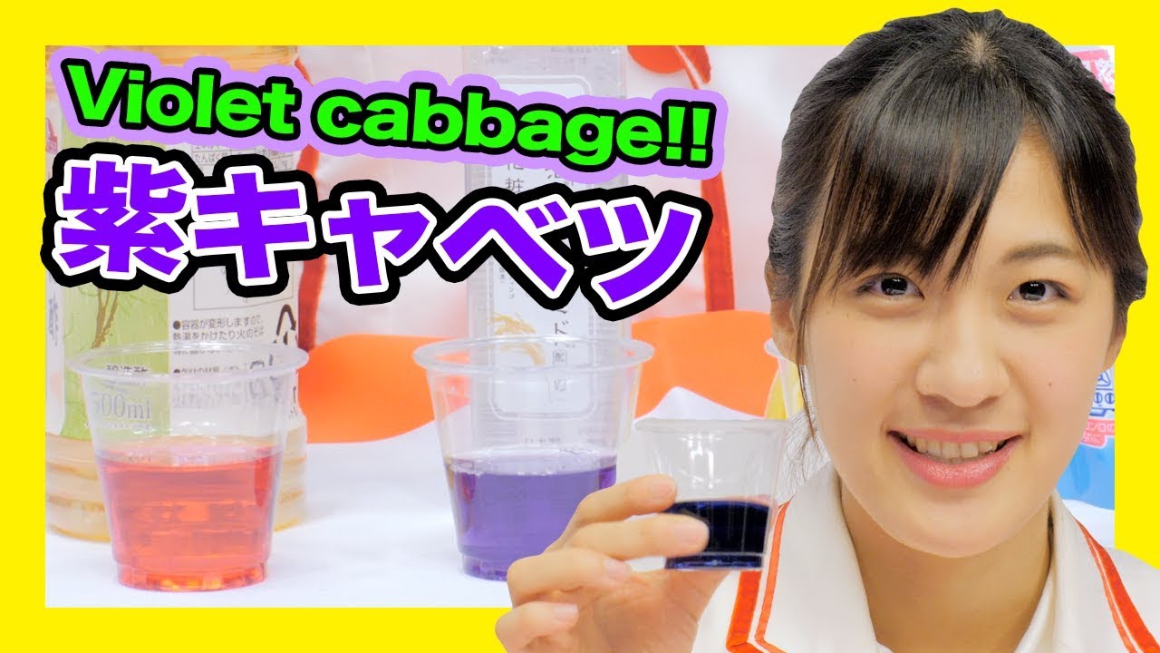 紫キャベツの汁にいろいろな液体を混ぜて色実験